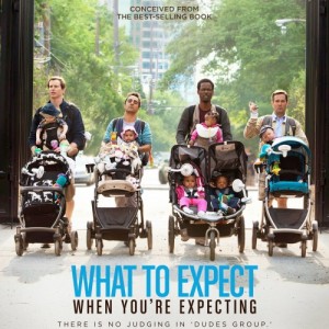 what_to_expect_when_youre_expecting_ver6_xxlg-500x500