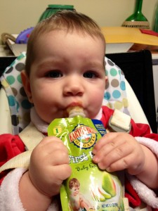 Earth's Best Squeeze Pouch