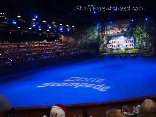 Dixie Stampede And Parrot Mountain Family Friendly Pigeon Forge Stuff Pas Need